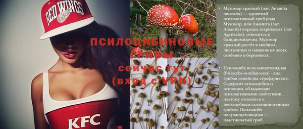 синтетический гашиш Белокуриха