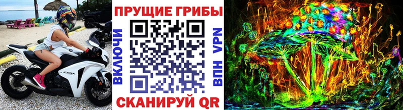 Псилоцибиновые грибы ЛСД  KRAKEN онион  Вятские Поляны 